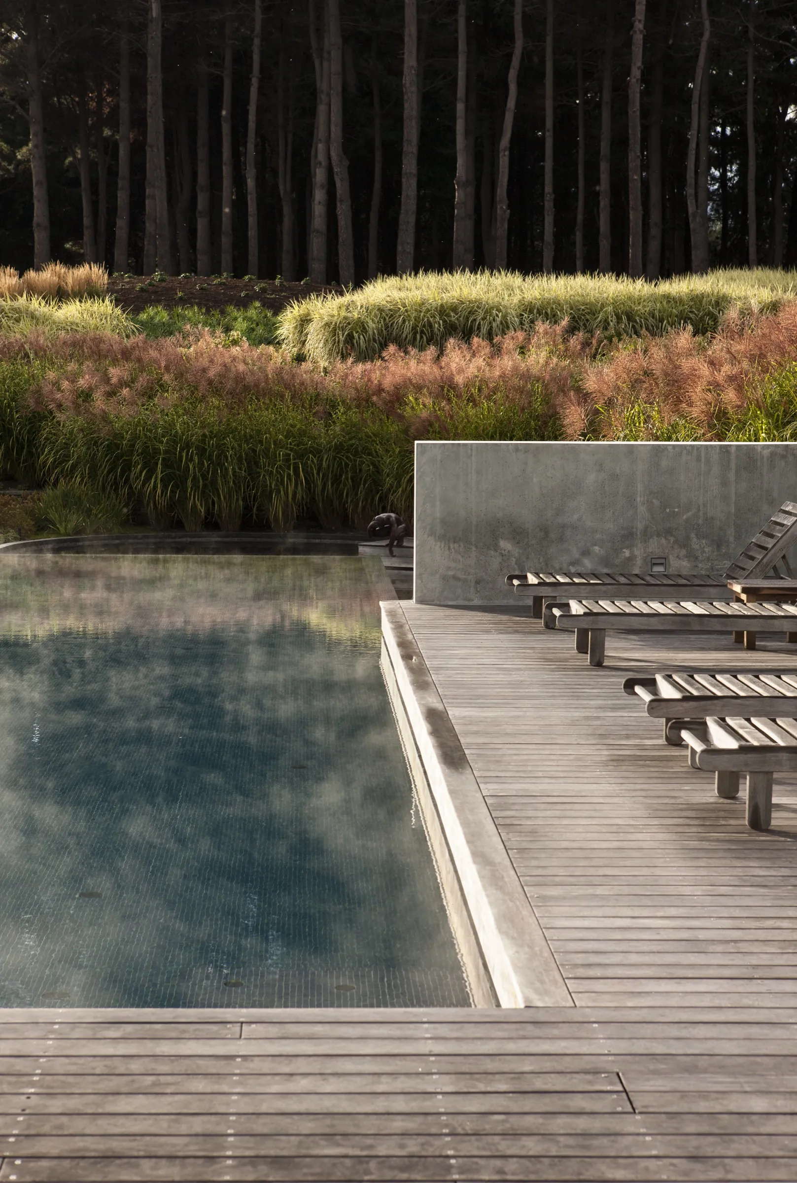 Garden by Suzanne Turley Landscapes
