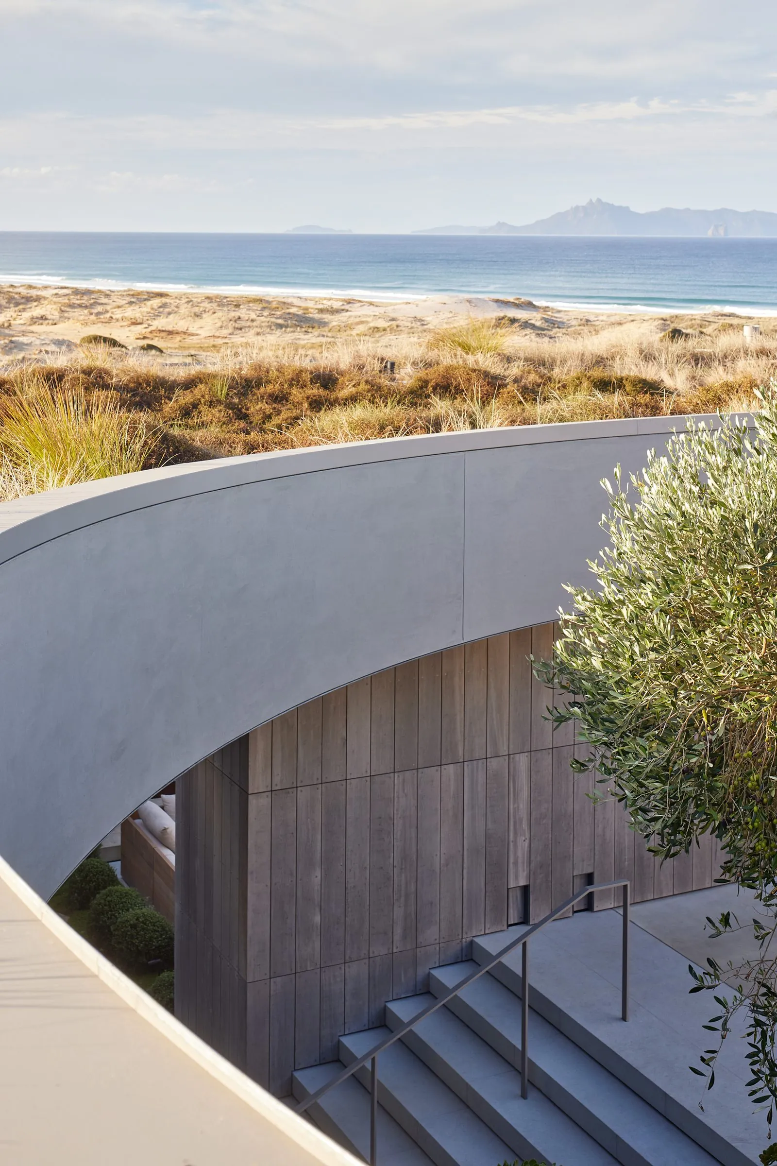 Coastal Home, Te Arai. Landscape design by Suzanne Turley Landscapes
