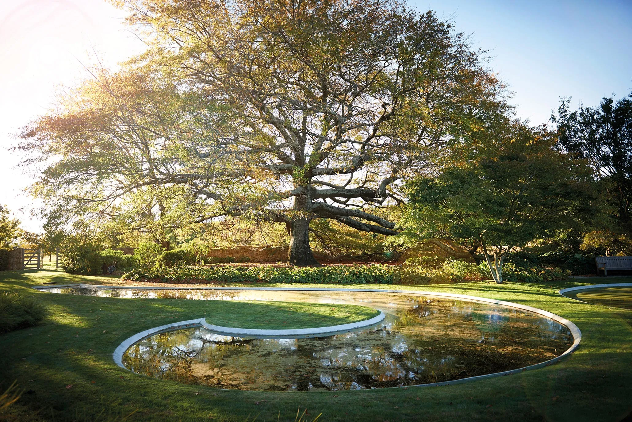 Paretai Estate, Hawke's Bay, New Zealand. Landscape design by Suzanne Turley Landscapes