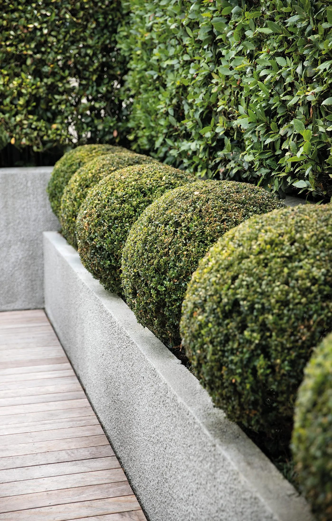 Pool Pavilion, Auckland. Landscape design by Suzanne Turley Landscapes