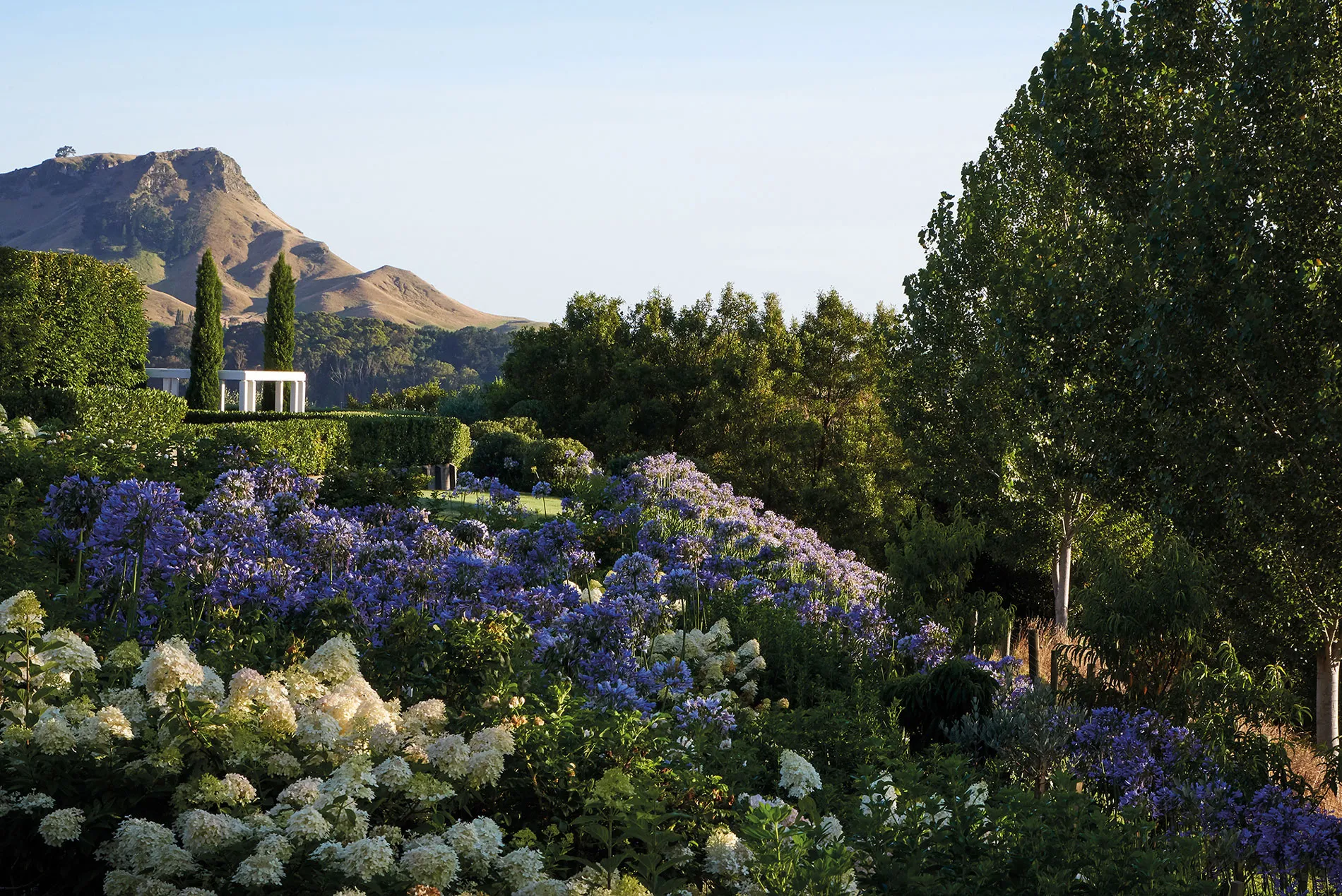 Garden designed by Suzanne Turley Landscapes